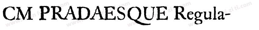 CM PRADAESQUE Regula字体转换